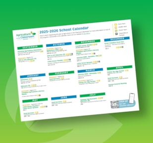 School calendar on green and yellow gradient background